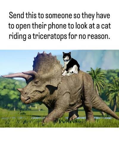 Happy Caturday!

Is it just us or are you also going to miss Dina the Dinosaur and the Unearth a Story Summer Reading theme????